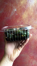 Load and play video in Gallery viewer, Soy-Pickled Ramps (San Maneul Jangajji)
